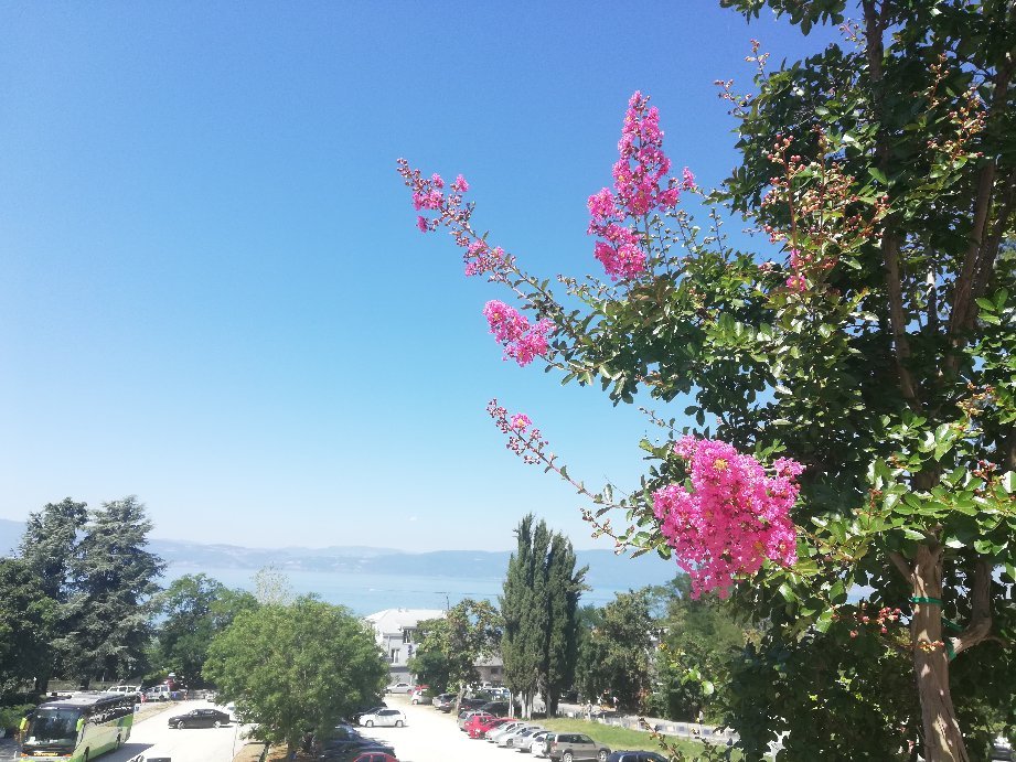 Ohrid hotel Pela pogled