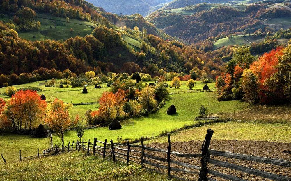 zlatibor.jpg